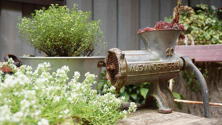 Im Garten der Familie Schneider