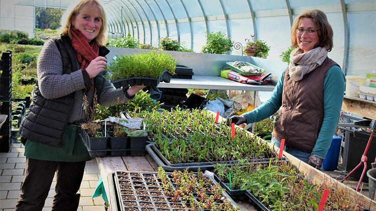 Die Gärtnereien dürfen wieder öffnen. Auf unserem Bild erklärt Renate Kreul (links) ihrer Auszubildenden Sabrina Krause das Essigkraut, das in der Küche bei Salaten, Suppen und Braten Verwendung findet.  Foto: Werner Reißaus
