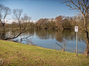 An vielen Stellen am Oberwallenstadter Baggersee stehen nun Hinweise, dass dort Hunde nicht baden dürfen. Foto: Klaus Wendel