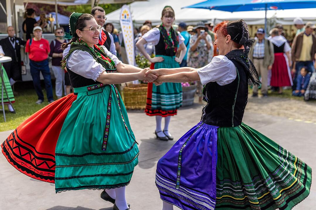 "Deutscher Trachtentag" im Spreewald