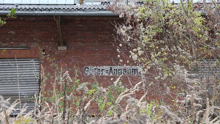 ...wilde Stauden. Foto: Simone Bastian