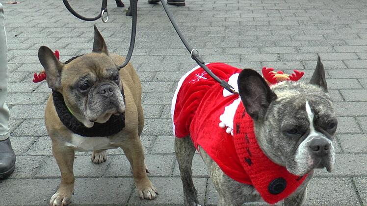 Weihnachtlich und warm angezogen, fühlten sich auch diese beiden Marktbesucher wohl. Christian Licha