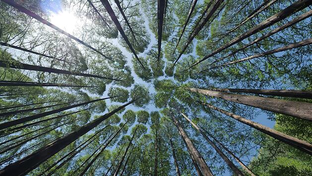 Der Naturpark Steigerwald in Franken lädt zum Entspannen und bald auch zum Lernen ein.