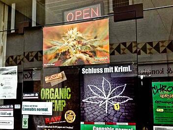 Hanf-Blätter, Glaspfeifen, Bob Marley und andere Kiffer-Devotionalien: das Schaufenster des Ladens in der Burgerhofstraße in Forchheim schaut ziemlich bunt aus. Drogen gibt es trotzdem nicht. Foto: np