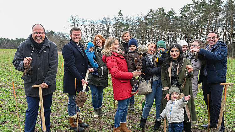 Nürnberg: Über 5.000 Setzlinge - Stadt pflanzt pro 2022 geborenem Baby einen Baum