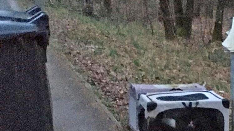 Tierheim Roth: Besitzer "entsorgen" 13 Katzen hinter Tierheim-Mülltonnen - "Müssen mit Gewissen leben"