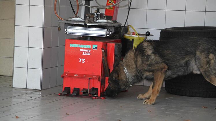 Gerome findet sie sofort.