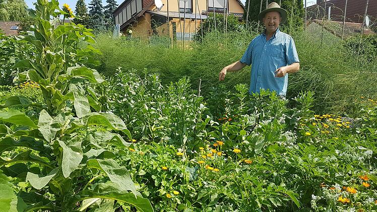 Dicht an dicht stehen die Stauden in Schmälings Garten. Foto: Elisabeth Assmann