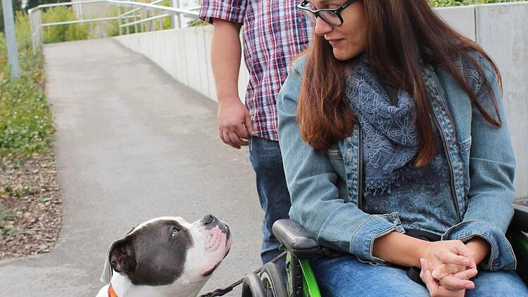 Kai-Uwe wird zum Rollstuhlbegelithund ausgebildet. F&uuml;r Sophie wird das eine gro&szlig;e Hilfe und auch ein weiterer Beitrag f&uuml;r etwas mehr Normalit&auml;t in ihrem Leben sein. Fotos: Manja von Nida