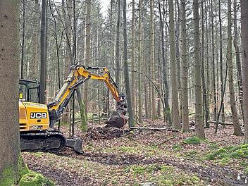 Der Bagger hebt im Wald einen Retentionstümpel aus.