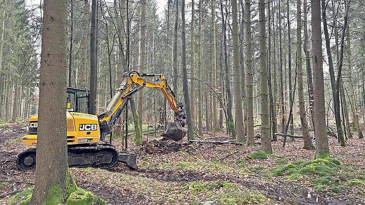 Der Bagger hebt im Wald einen Retentionstümpel aus.
