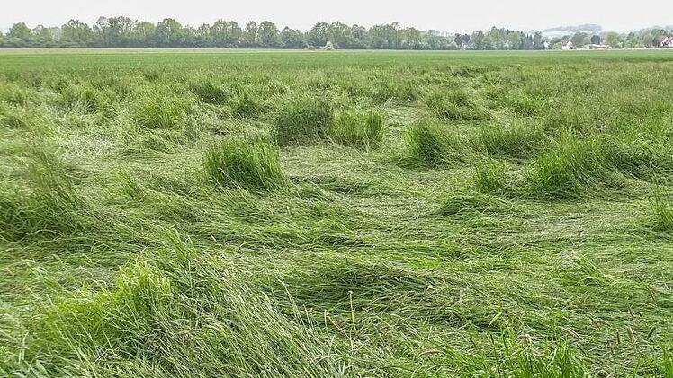 Diese Spuren in einem Feld sind für Christopher Pittrof ein Beleg, dass dort tatsächlich ein Tornado getobt hat. Foto: Christopher Pittrof