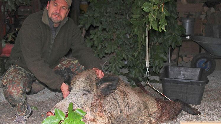 Das Ende des Keilers: Jürgen Düsterwald erlegte nach 40 Stunden auf dem Ansitz das kapitale Wildschwein.  Foto: Gerd Schaar
