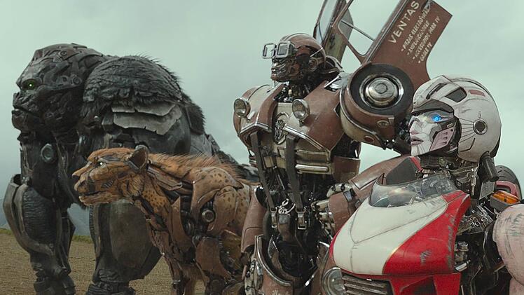 Die Maximals sind pr&auml;historische Transformers in Tiergestalt. Sie tun sich mit den Autobots zusammen, um einen uralten Feind zu bek&auml;mpfen.