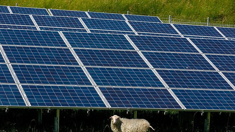 Ob es Freiluft-Fotovoltaik bei Oberleichterbach geben wird, klärt ein Bürgerentscheid. Das Bild entstand in Durach, wo Schafe ein solches Kraftwerk beweiden. Foto: Ralf Lienert