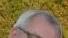 Olaf Betz