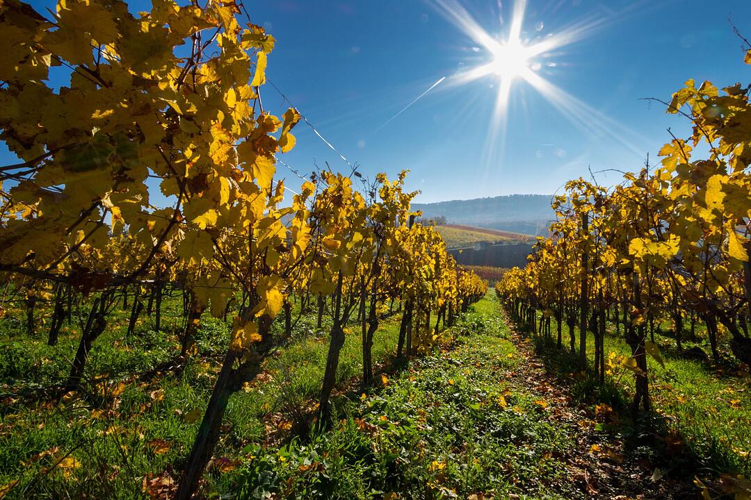 Fotos Konrad Thomann