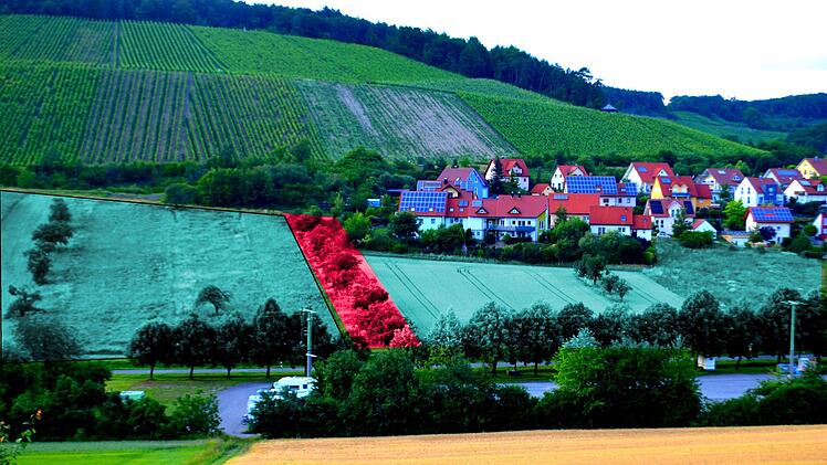 Mitten im geplanten Baugebiet  "Am Wengert 2" in Ramsthal liegt eine Streuobstwiese, deren Besitzer sein Grundstück (rote Fläche) nicht verkaufen oder tauschen möchte. Mittels Anwalt legte er jetzt Widerspruch ein, der Gemeinderat antwortete detailliert, rückt aber nicht von seinem Vorhaben ab. Andreas Lomb