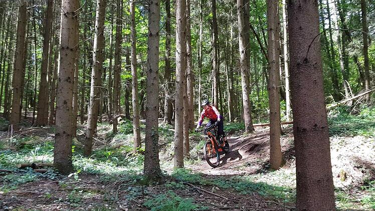 Ein Mountainbiker im Wald  Foto: privat