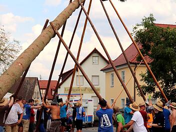 Die fast 33 Meter lange Fichte forderte vollen Einsatz. Foto: Johanna  Blum