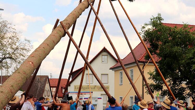 Die fast 33 Meter lange Fichte forderte vollen Einsatz. Foto: Johanna  Blum