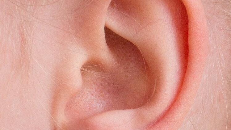 Das Ohr ist ein wichtiges und komplexes Organ. Es empfängt Informationen und leitet diese zur Verarbeitung an das Gehirn weiter, was für unsere Kommunikation essenziell ist.