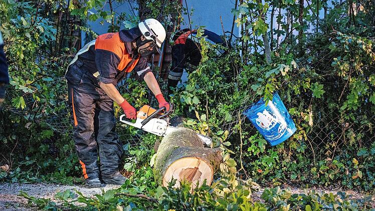 Die Feuerwehr beseitigte die Buche im Wilde-Rose-Keller.