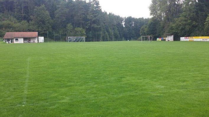 Ein sattes Grün, das aber zu hochgewachsen ist: Weil der Rasen in Kühlenfels nach den vielen Niederschlägen nicht gemäht werden konnte, fiel die Partie am Samstag gegen Weingarts aus. Leo Hühnlein