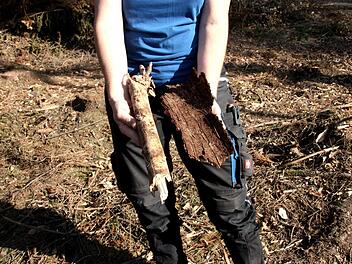 Links war der Buchdrucker aktiv und rechts hinterließ der Kupferstecher seine tödlichen Spuren.Richard Sänger
