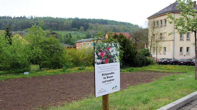 Geplante Blühwiese am Parkplatz Obermang. Foto: Julia Raab