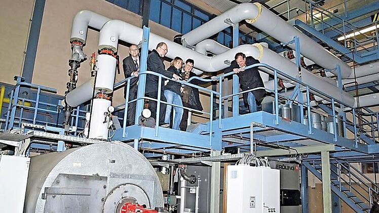 Recht optimistisch blickten am 22. November 2010 bei der offiziellen Eröffnung der Biowärmeanlage (ab Zweitem vn links) der damalige Bürgermeister Robert Herrmann, Birgit Ulrich, Geschäftsführerin der ForstbetriebsgemeinschaftHaßberge, Josef Müller und Verwaltungsleiter Ernst Haßler auf die Anlage. Jetzt hat sie mit Absatzproblemen zur kämpfen.  Foto: Archiv Helmut Will