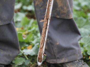 Die Bodengesundheit von Ackerböden müssen alle Landwirte über Bodenproben regelmäßig untersuchen lassen. Anders ist es mit der Humusbeschaffenheit. An dieser Langzeitstudie nehmen nur ausgewählte Bauernhöfe teil.  Foto: Heike Beudert