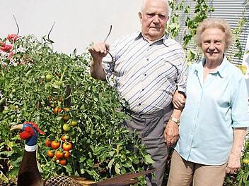 Walter Franke mit seiner Frau Hilde vor seinem Tomatenbeet Foto: Sonja Adam