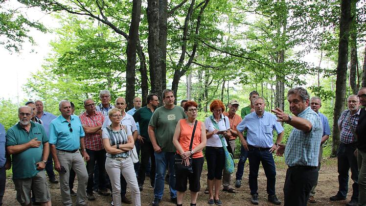 Eindrücke von der Fahrt in den Bayerischen Wald. Foto: Ralf Ruppert