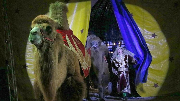 Zirkus BarnumJosef Hofbauer