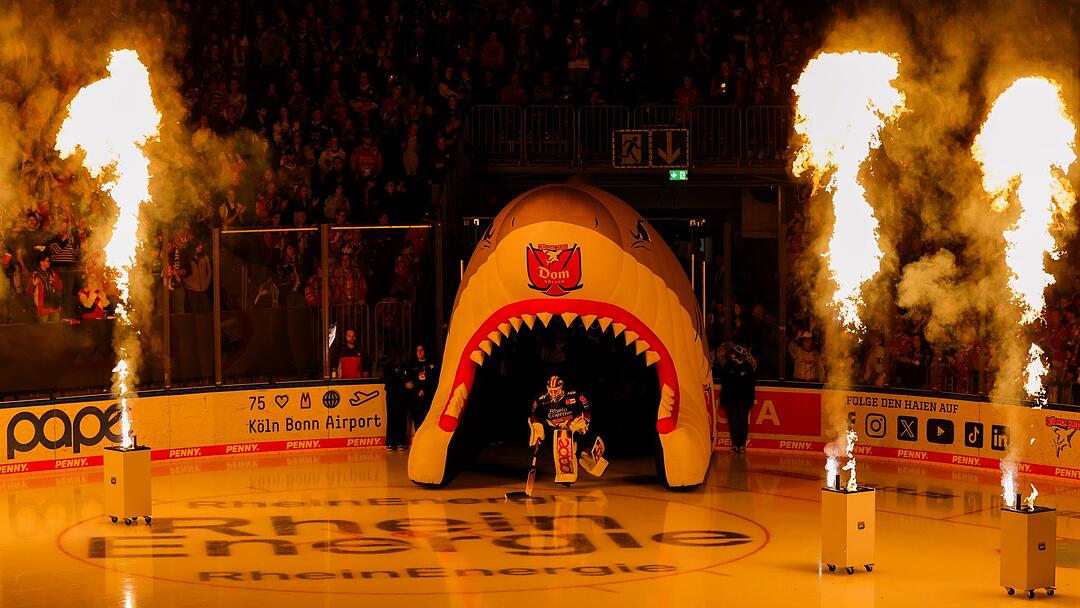 Kölner Haie - Grizzlys Wolfsburg
