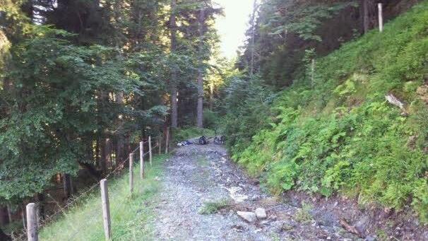 Der Draht war zwischen dem letzten Pfosten und einem Baum gespannt.