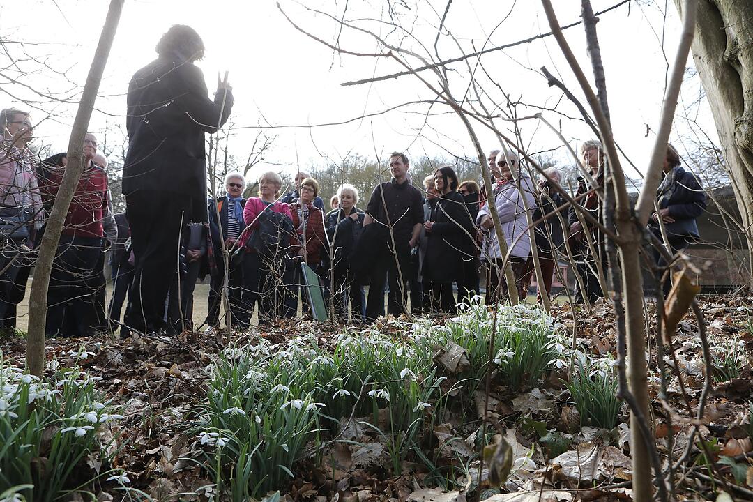 Frühling in Franken: Das Leben erwacht