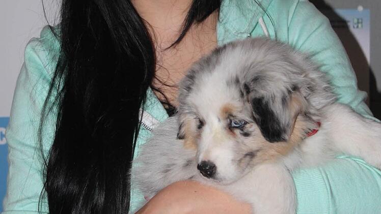 Gesundheitstag in Kronach Foto: Veronika Schadeck