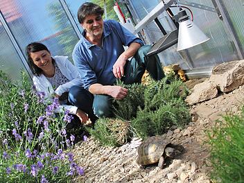 Am 25. Mai im Fernsehen: Anja Heim und Michael Hennings haben für ihre Schildkröten den Garten komplett umgebaut. Foto: Teresa Hirschberg
