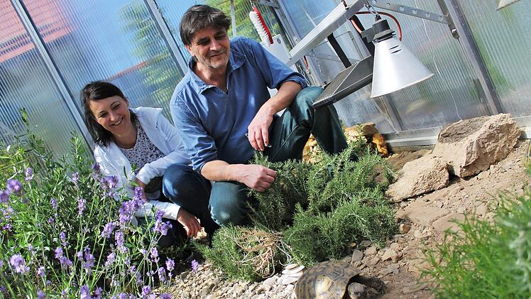 Am 25. Mai im Fernsehen: Anja Heim und Michael Hennings haben für ihre Schildkröten den Garten komplett umgebaut. Foto: Teresa Hirschberg
