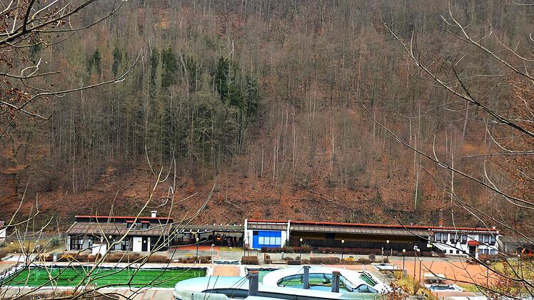 Auf einer acht Hektar großen forstwirtschaftlichen Fläche oberhalb des Sommerbads will der Markt Wirsberg das Vertragsschutzprogramm "Wald" in Anspruch nehmen.