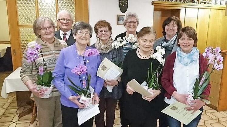 Die Geehrten von links: Marianne Lindig, Bernhard Zipfel, Rosi Schmid, Marianne Müller, Angelika Färber, Erika Welsch, 2. Bürgermeisterin Eva Jahn und Silvia Messer Foto: Frank Ziener