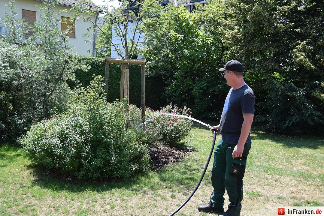 So genießt Franken den Sommer