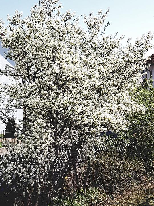Die schönsten Fotos im April aus Bayreuth und Umgebung