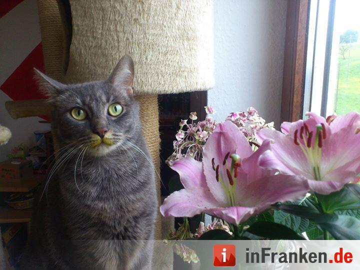 Foto: Dominik Morich