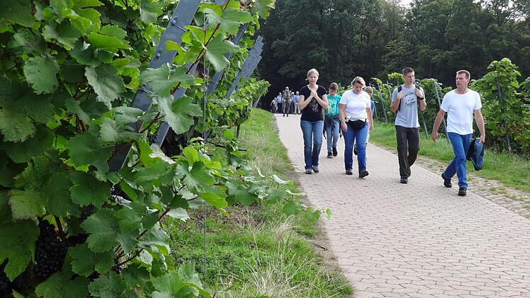 Es ging durch die Weinberge.