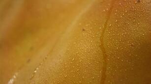 Fakten &uuml;ber den Schwei&szlig;