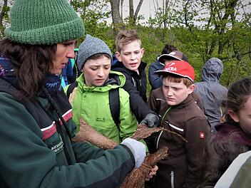 Forstbeamtin Anja Mörtlbauer führte die Schüler zu den Katastrophenflächen oberhalb der Kreisstraße, die von Wirsberg nach Neufang führt, und zeigt hier Überreste vom Borkenkäfer, der den gesamten Wald vernichtet hat. Werner Reißaus
