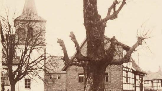 Die Linde auf diesem Bild, das im frühen 20. Jahrhundert entstanden ist, wurde 400 Jahre alt, musste inzwischen aber längst gefällt werden und der Straße weichen. Abgesehen von der Dorfkirche haben sich auch die Anwesen verändert. Nun werden die Straßen Dürrenrieds erneut umgestaltet.   Repro: Gerhard Schmidt
